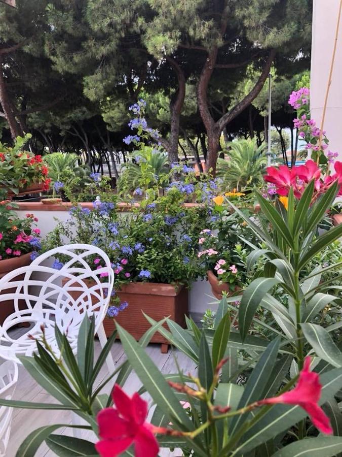 Brezza Marina Bed & Breakfast Marina Di Carrara Luaran gambar